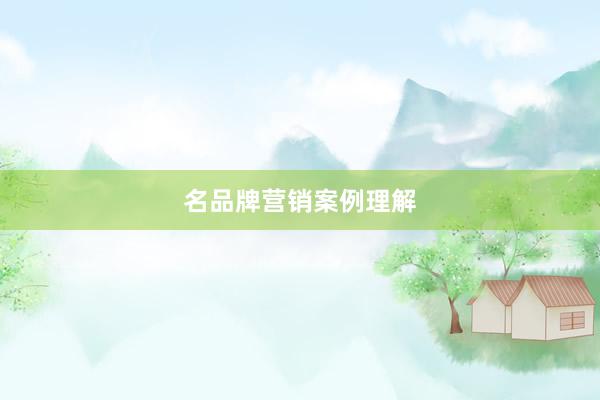 名品牌营销案例理解
